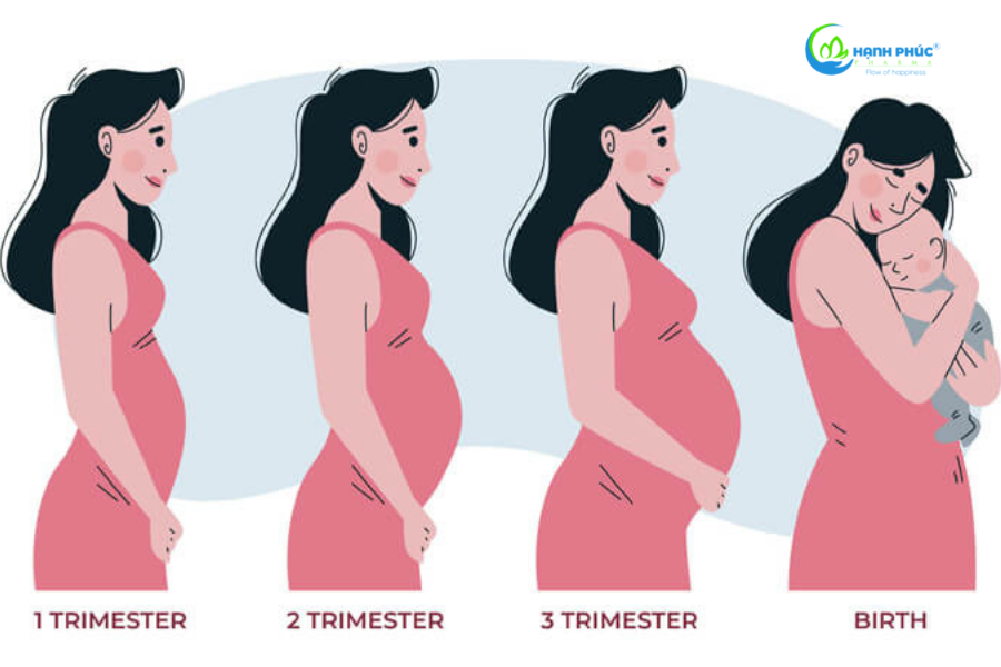 Nên tăng bao nhiêu cân trong thai kỳ?