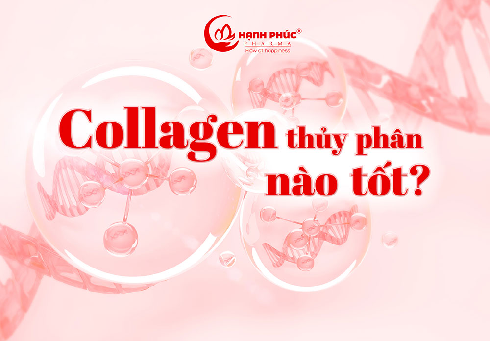 Collagen thủy phân được tạo ra như thế nào
